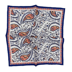 Silk Pocket Square - Vains