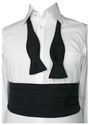 Tuxedo Set- Belt and Bow Tie (Size L)